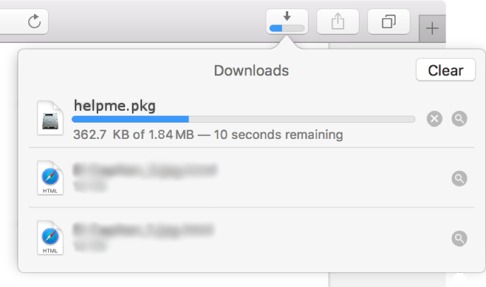 Image of safari download manager